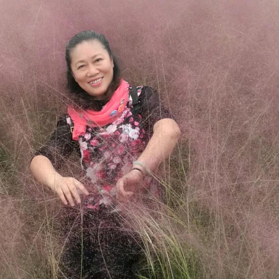 灵芝草(拒私聊)