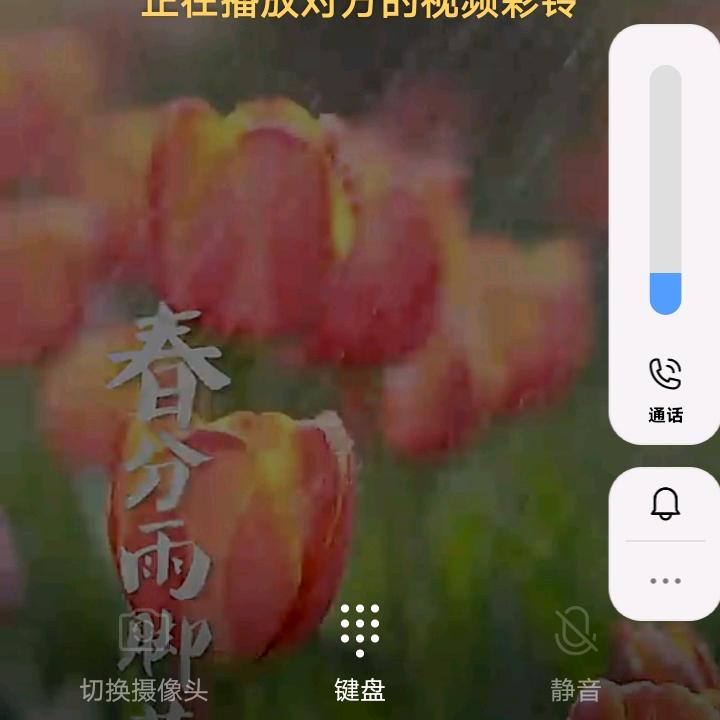 @家和万事兴😊