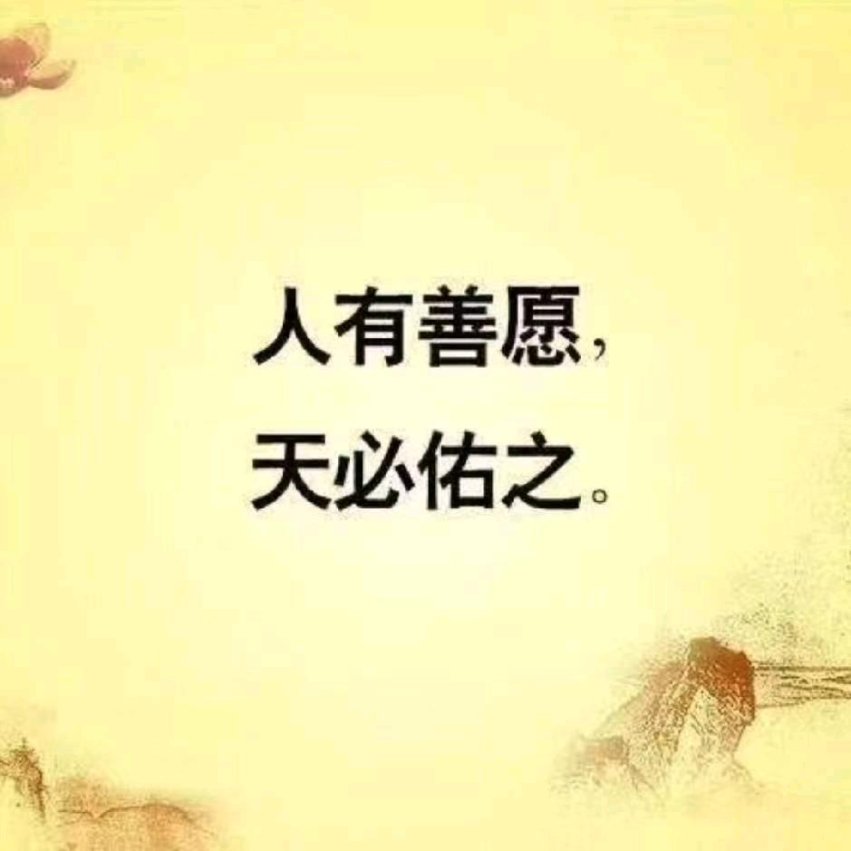 九哥