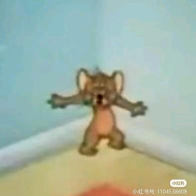 翻滚鸽子