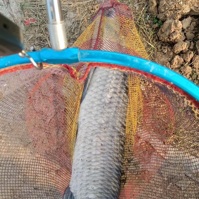 想继续开钓场的男人