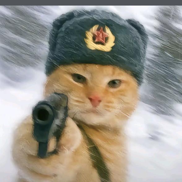 那就这样吧丶