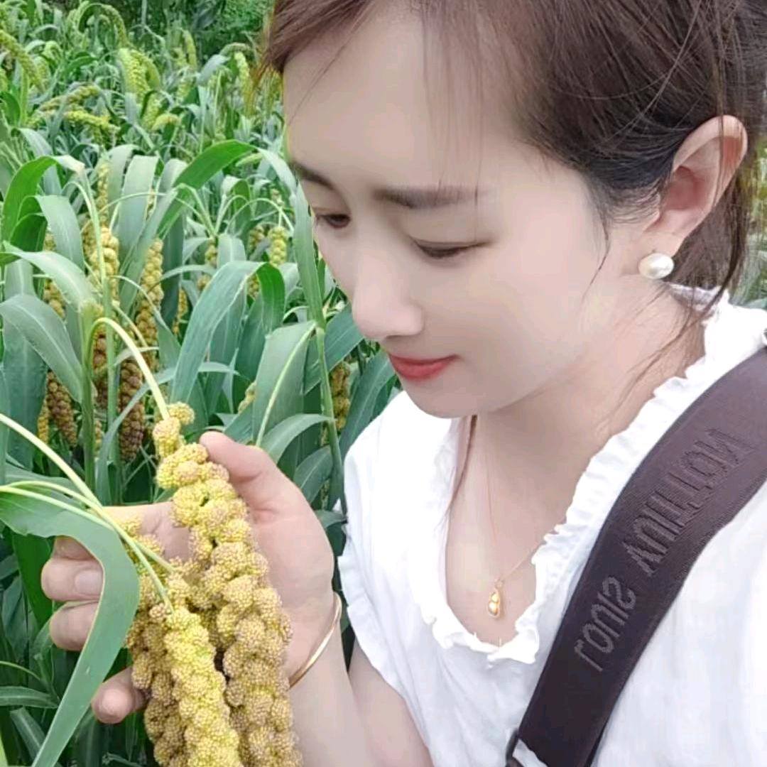 @农家粗粮小芳