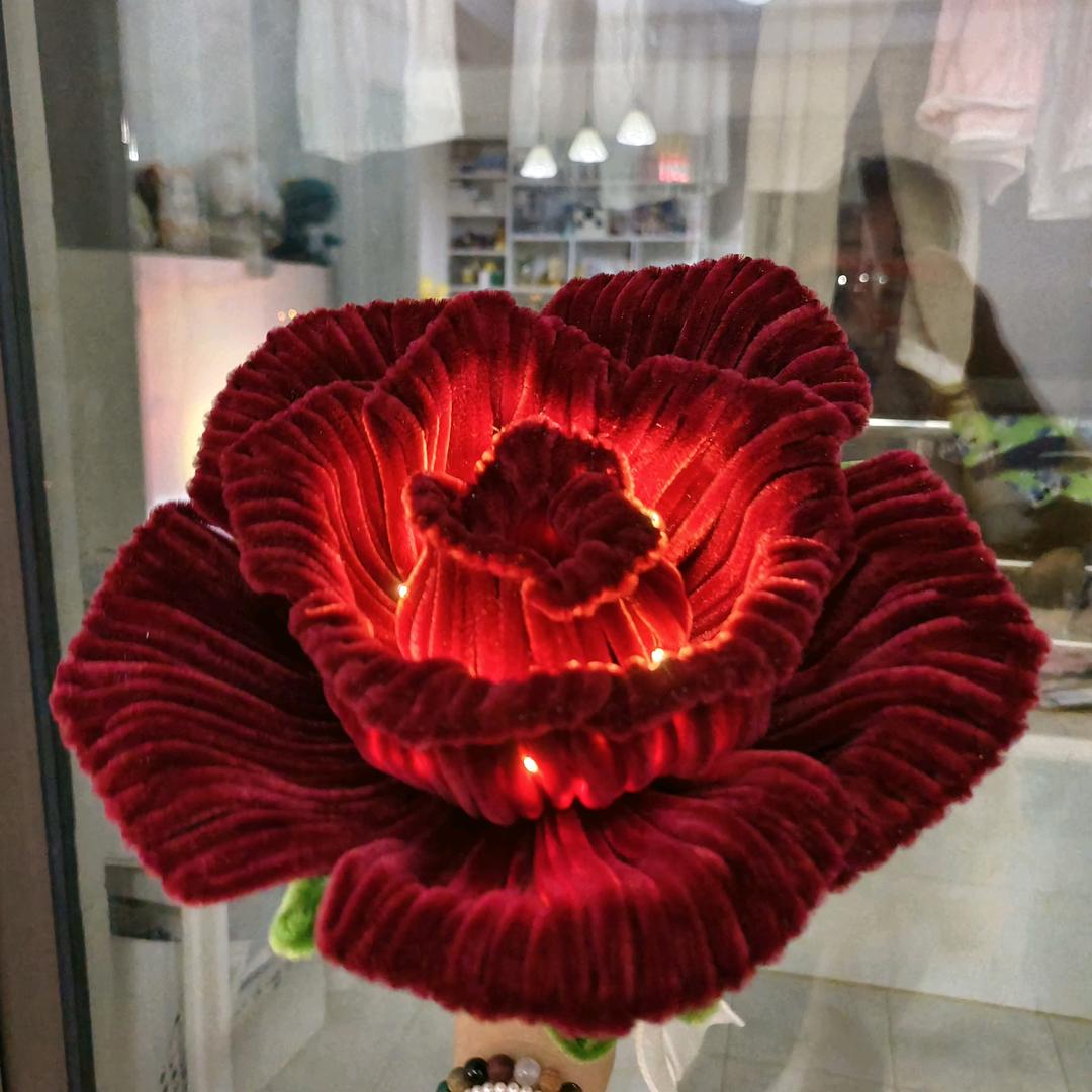 菲菲手工（下午1.20）