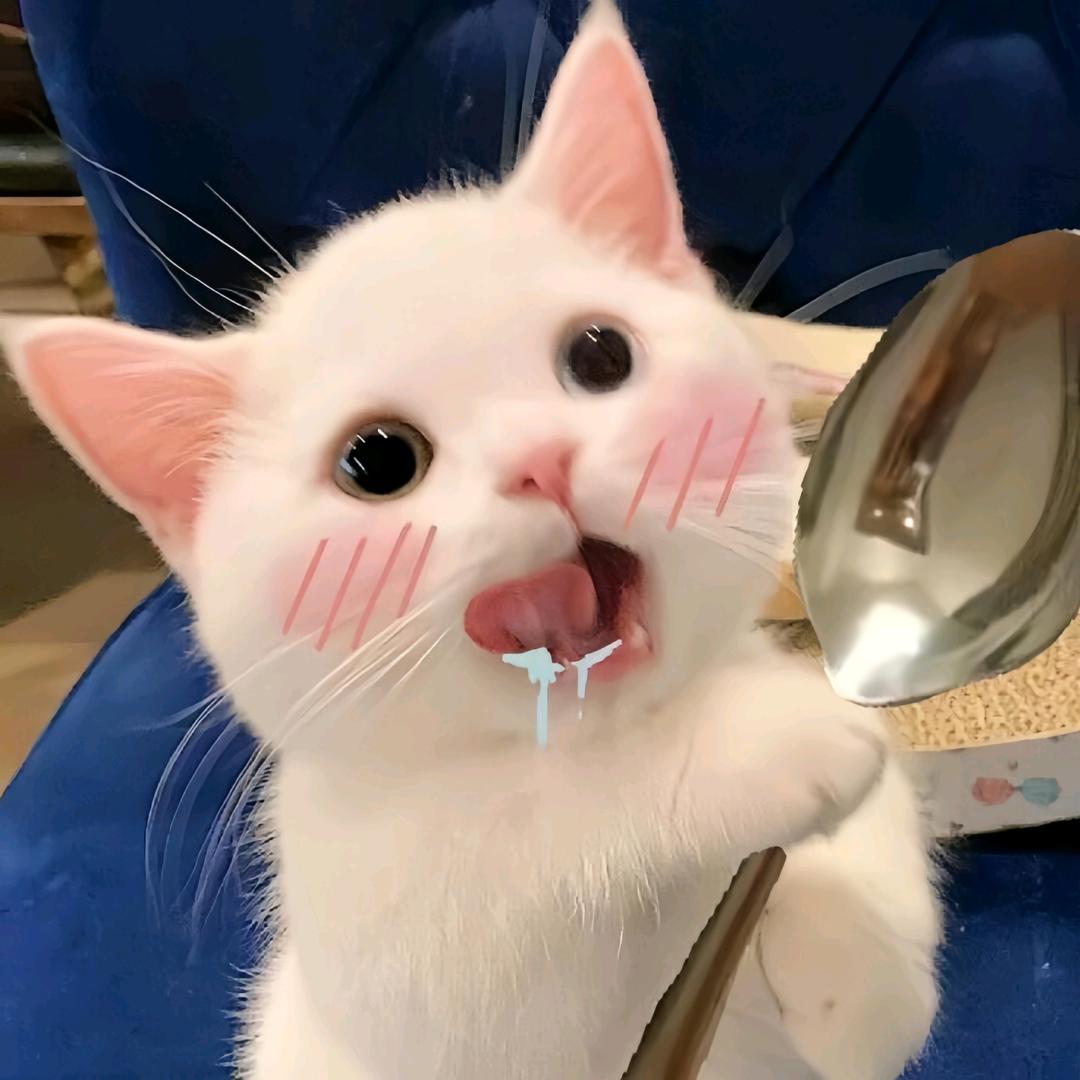 猫咪百货