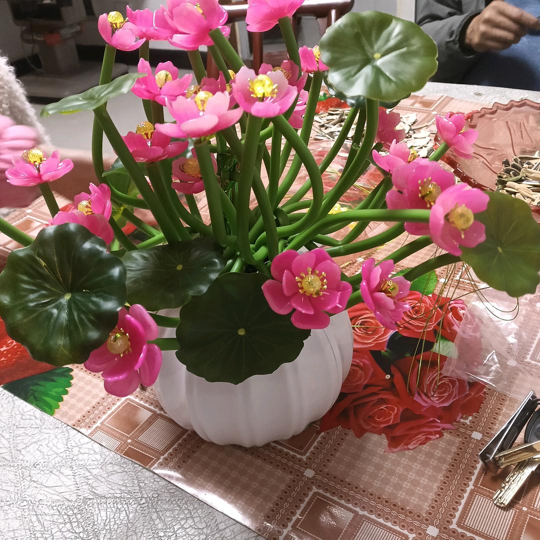 一忛风顺