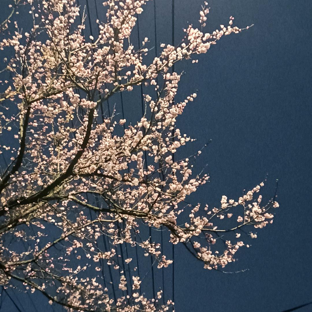 @平安一生