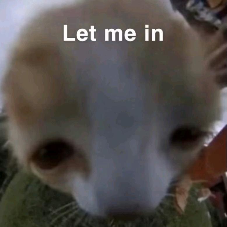 热心市民柏🍑。