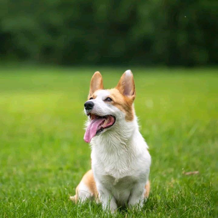 小黑聊香港金融