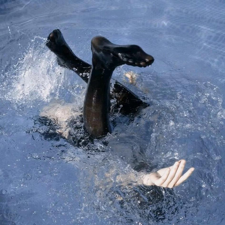 蒲公英的约定呢