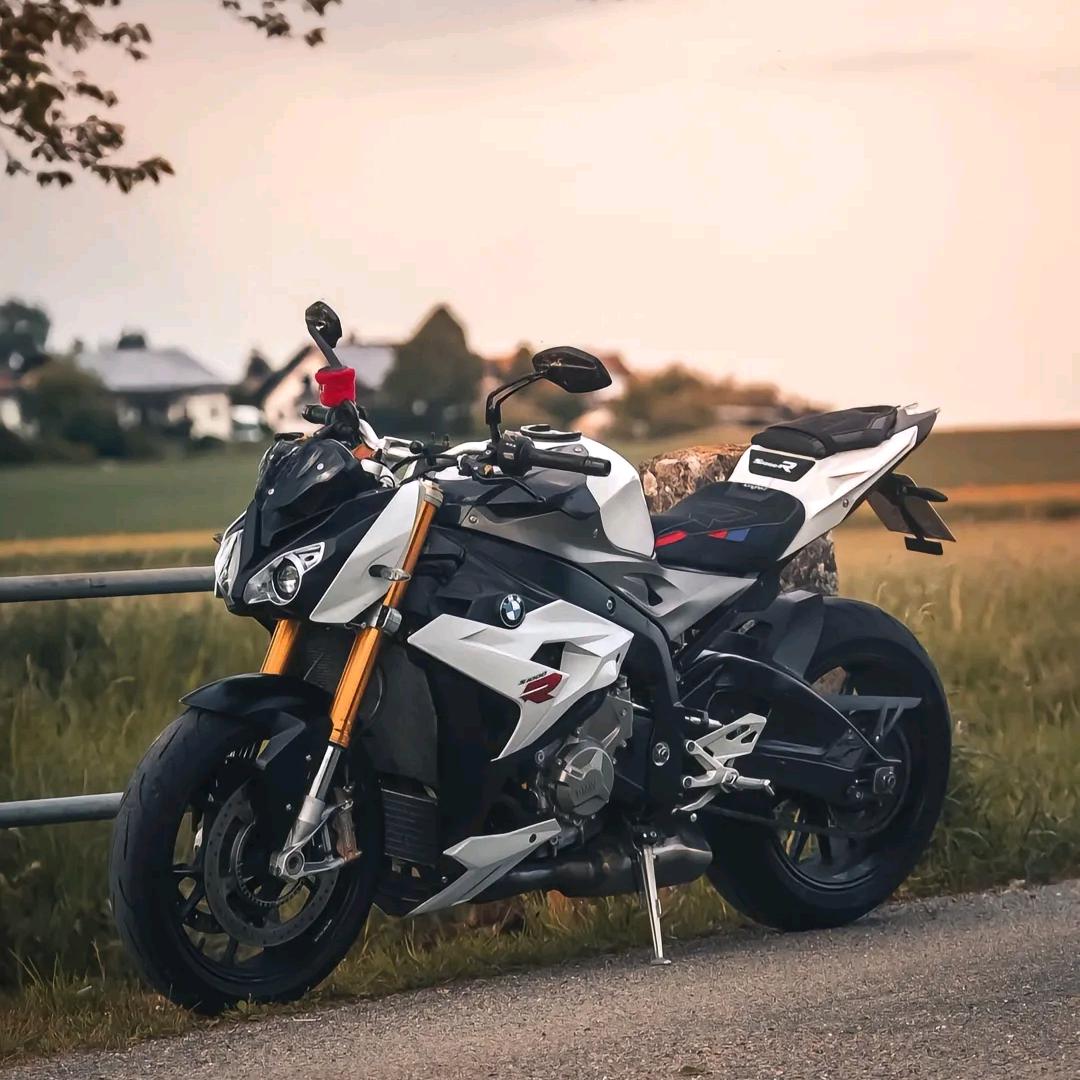 🐲🐲会飞的狼🐲🐲