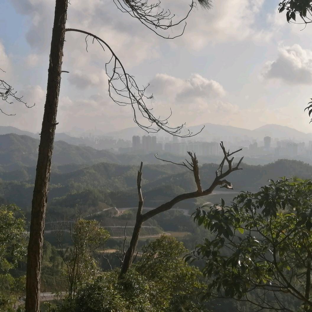 这个世界等通知