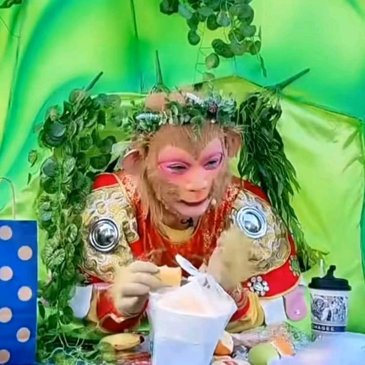 雪饼猴 🐒每天更新中