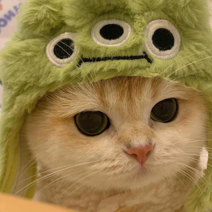 明天见