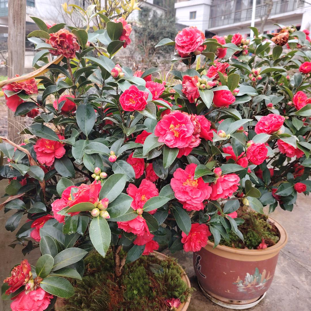 辛福美满一家人