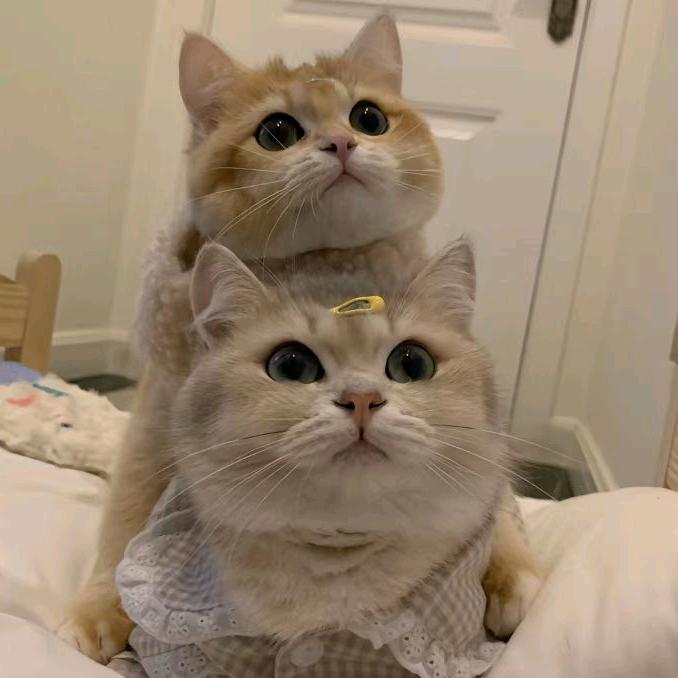 God of wealth