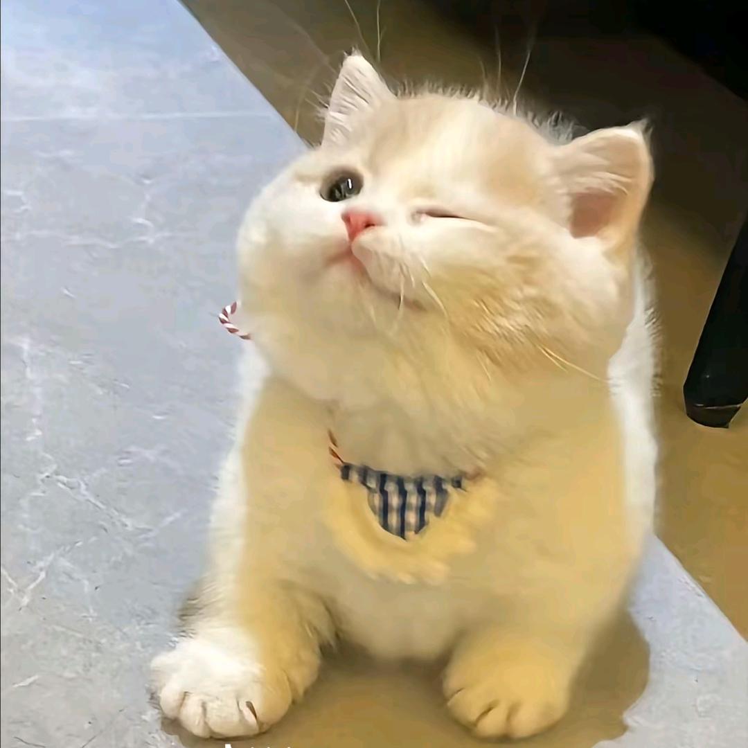 不瘦到98不改名