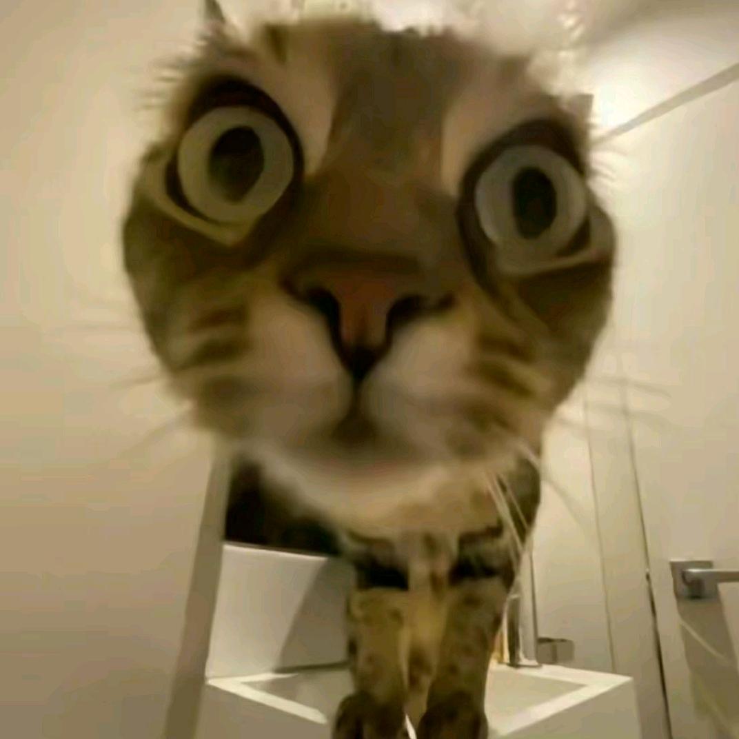 悲伤的答非所问.