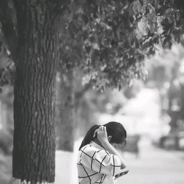 珍珍