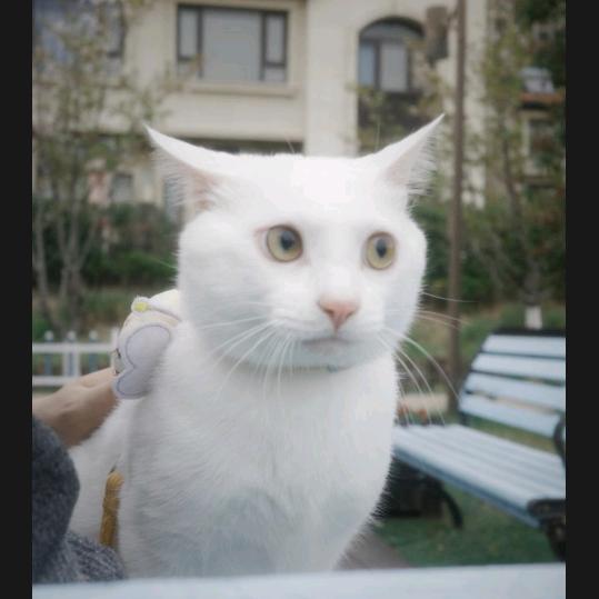 一个帅哥踏着祥云