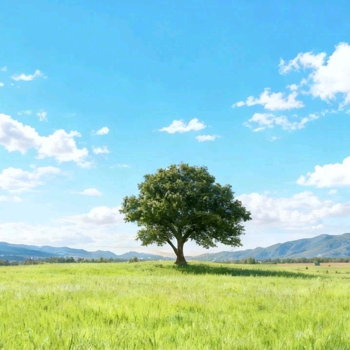 热烈的少年心❤