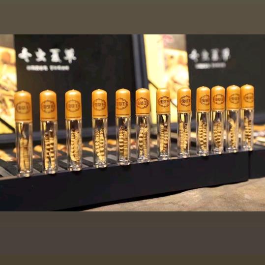 A邓珠《野生虫草王》合伙人招募