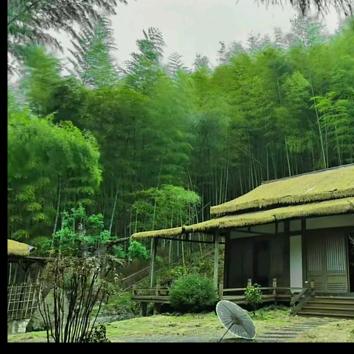 岁月
