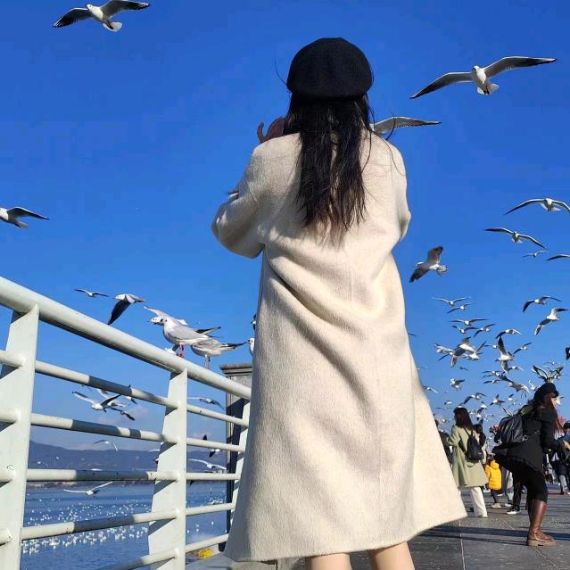 开心果--