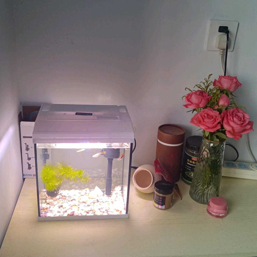 生物李老师
