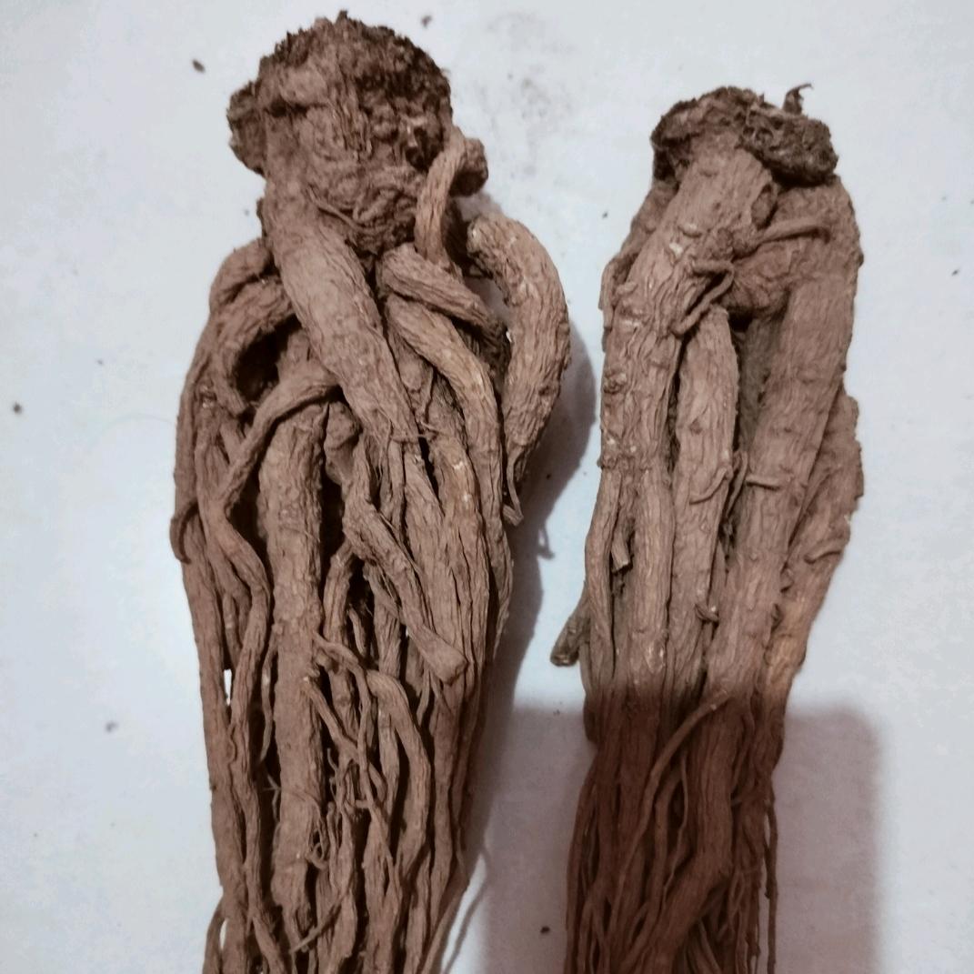 漳县果乐野山药农副产品店