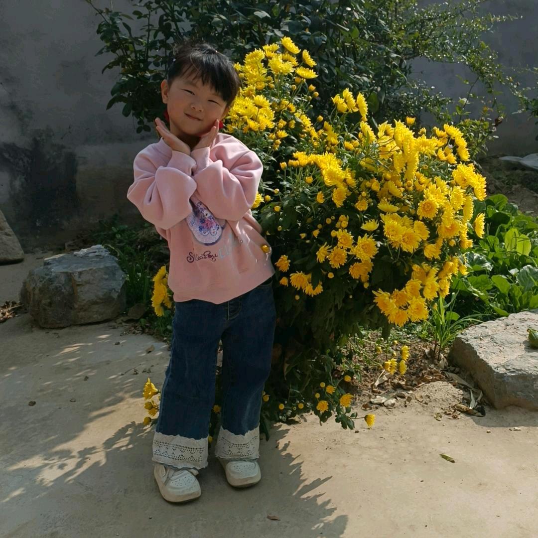 茉莉花的希望
