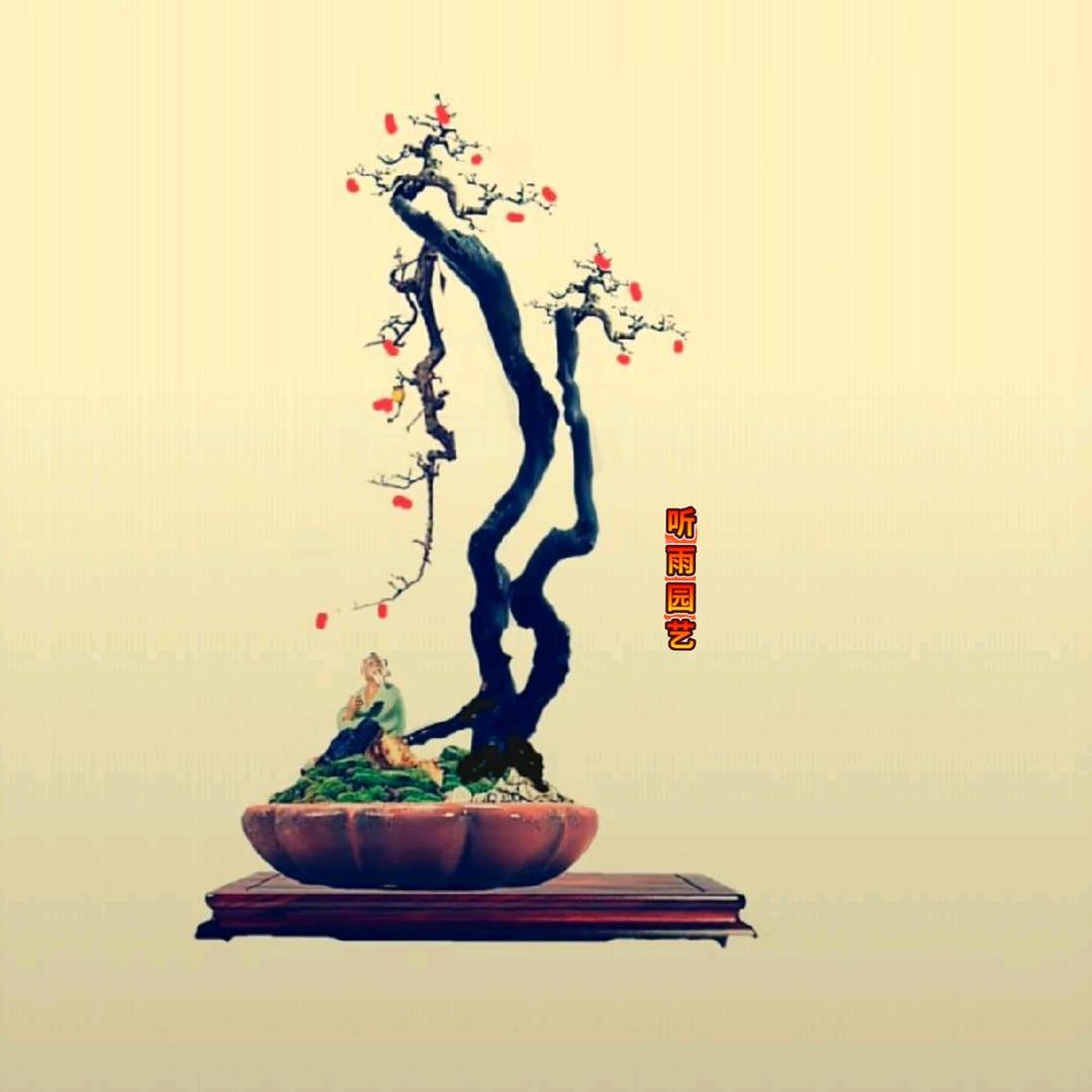 听雨园艺