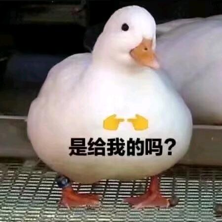 意大利面拌混凝土