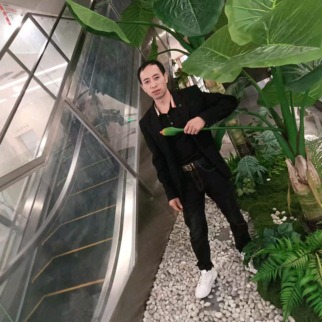 网络认识事缘分缘  楊》