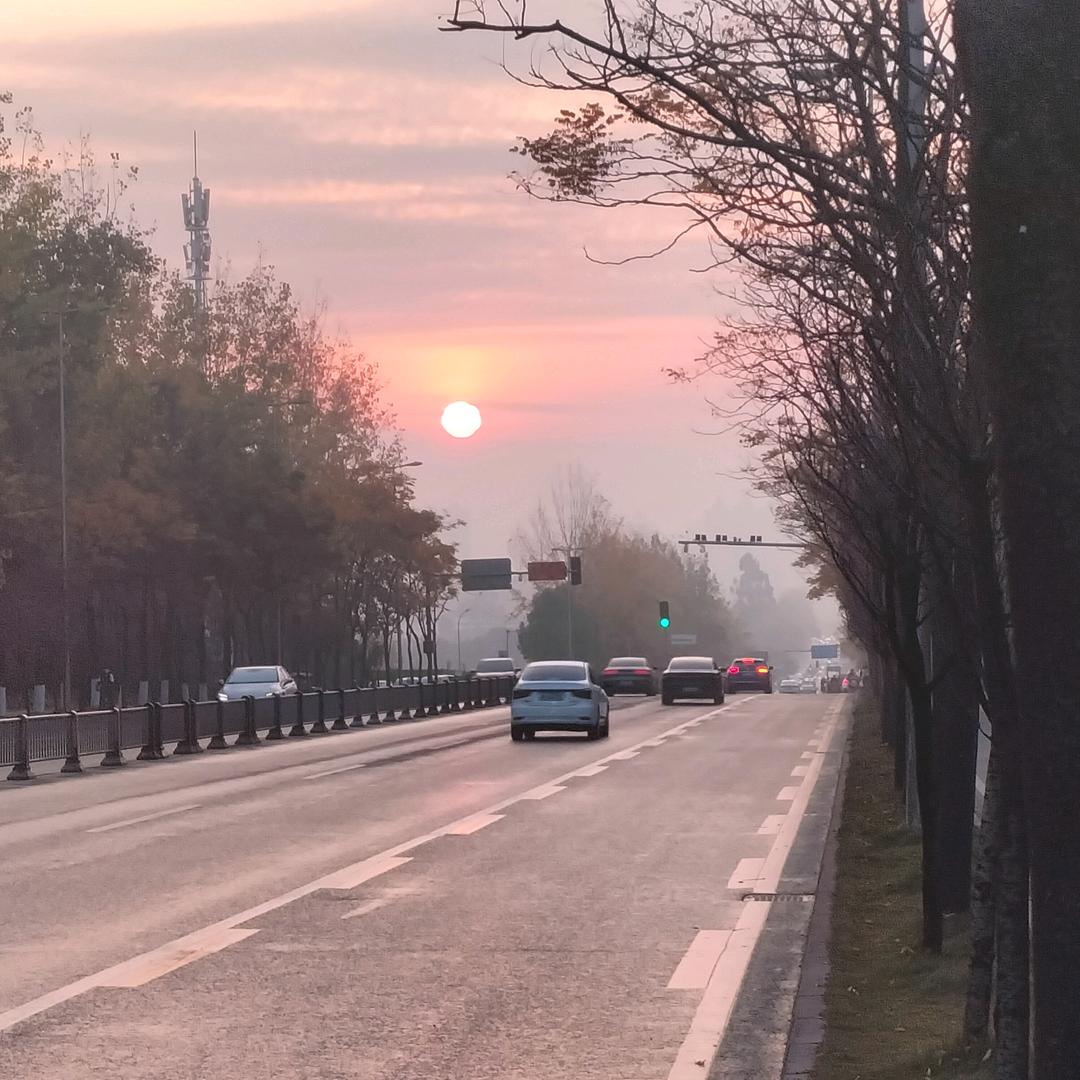 泽丁
