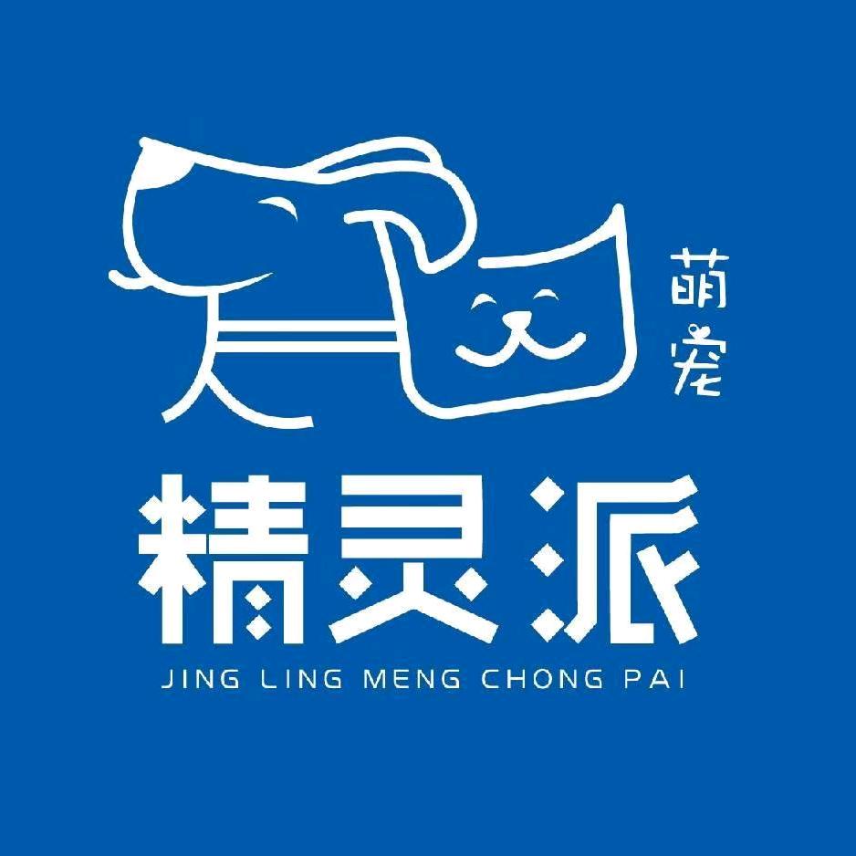 济南精灵派宠游团