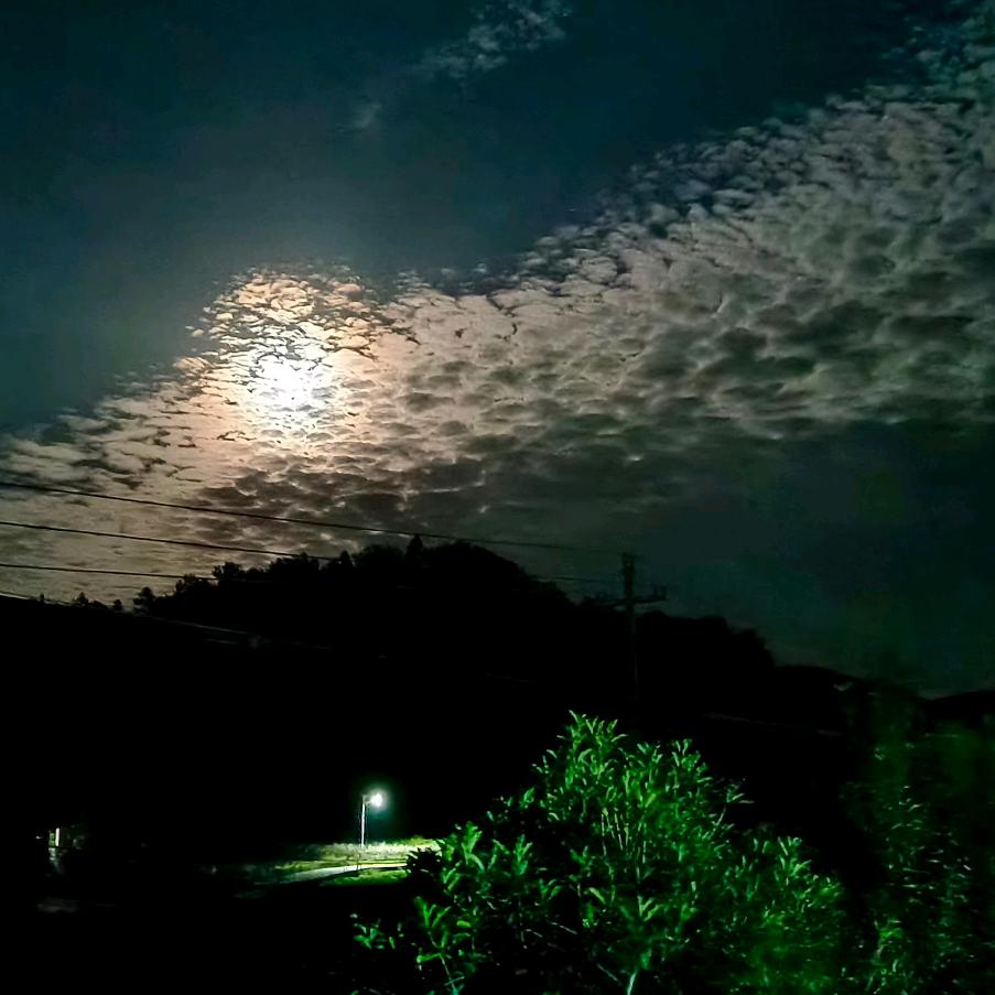 🥀顺其自然💞