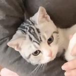 ♡ۣۖิ张ℋ𝒶𝒷𝒾𝓉♡ۣۖ