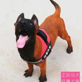 长期收大小旺，出大小旺