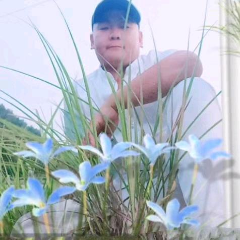 我就是一个农民🧑‍🌾