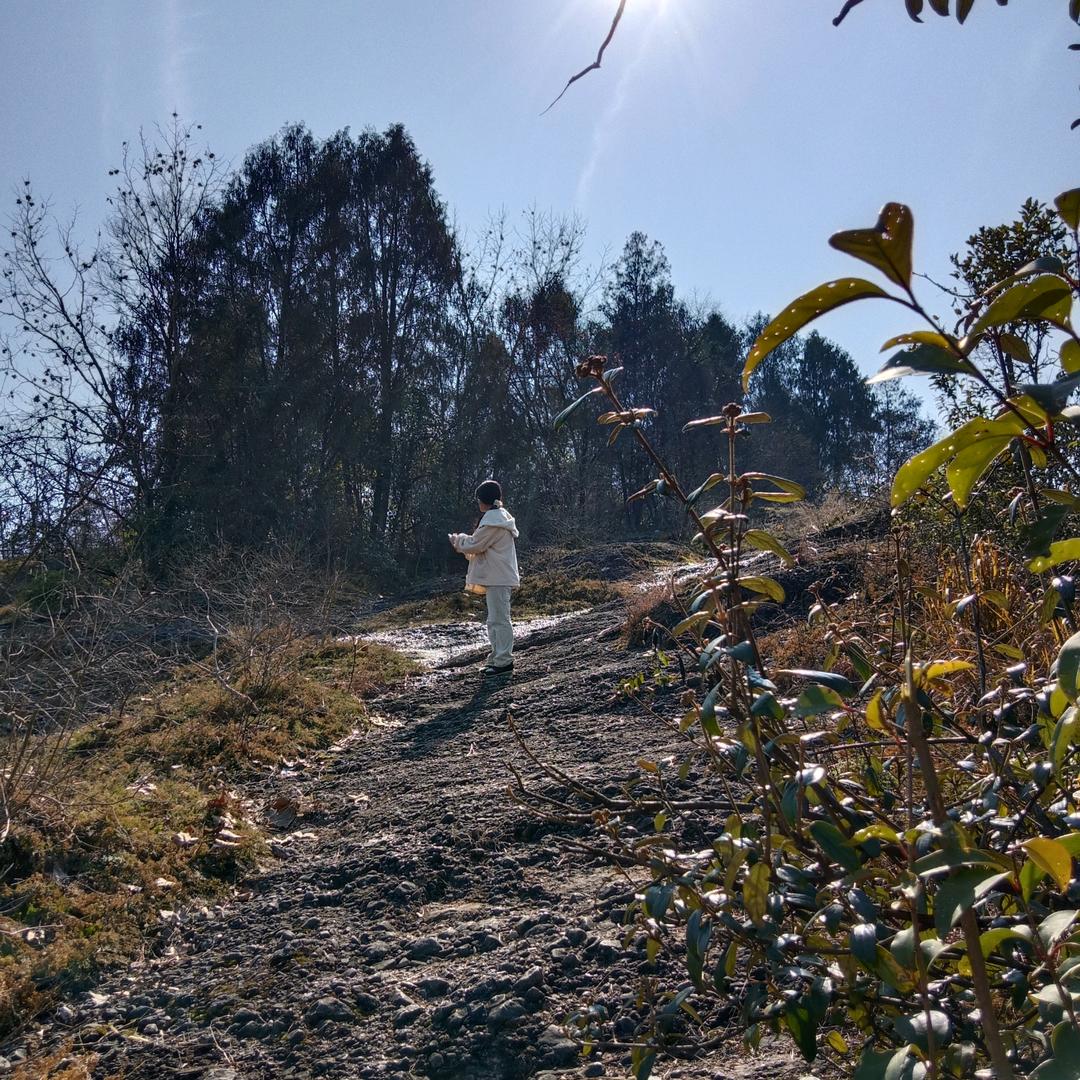 红（福）平（安）🌞