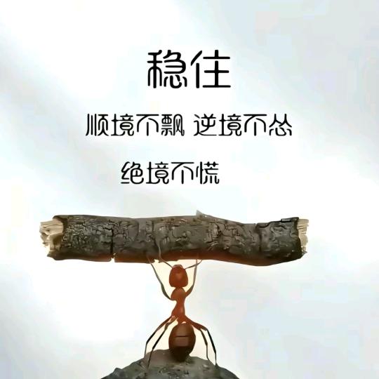 & （紅顔粥粥