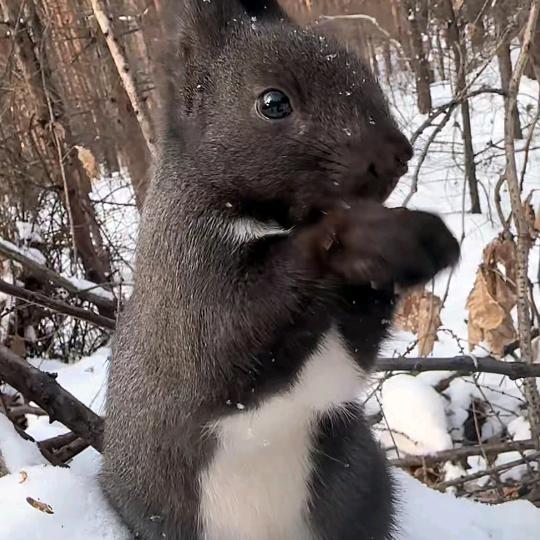 🍀清风伴酒🍀