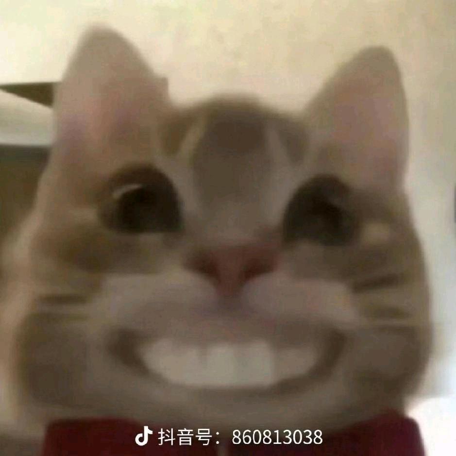 來年