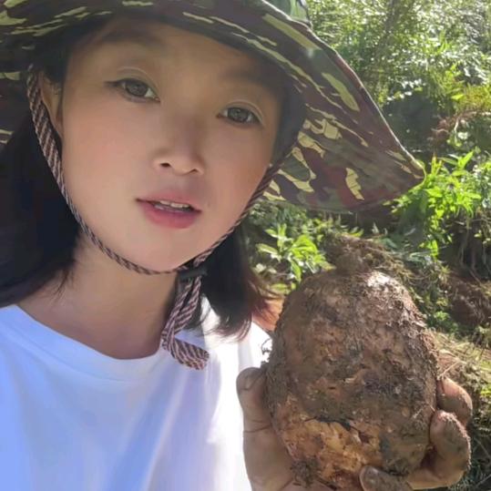 @小太阳