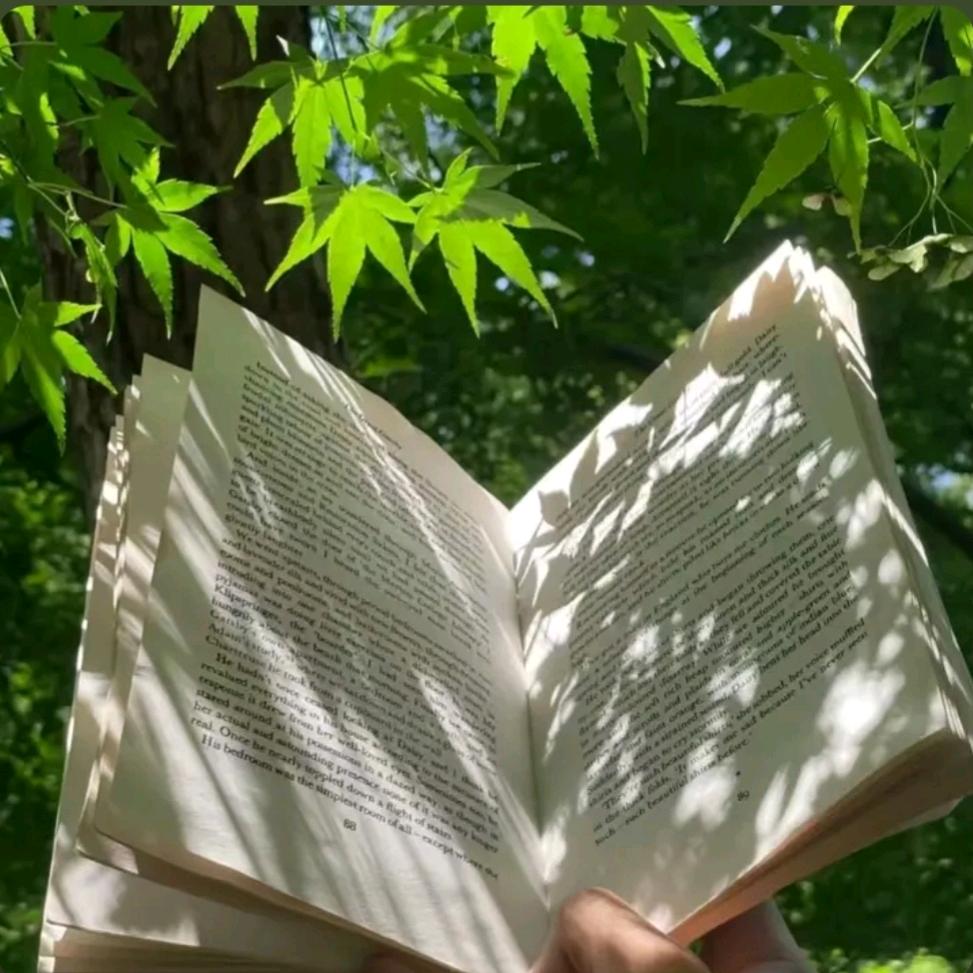 没心没肺能活百岁🌷