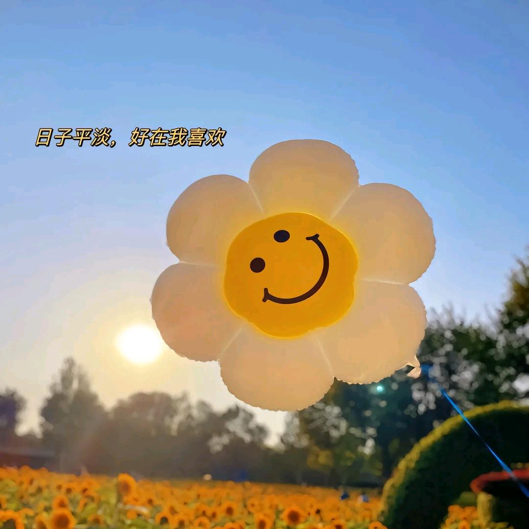 奋斗路上的小小青年