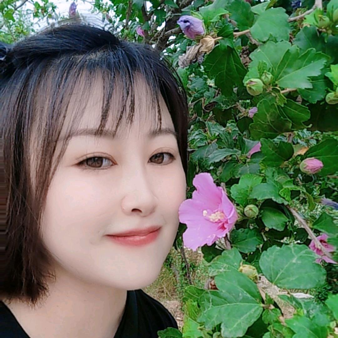 三棵树智慧姐姐