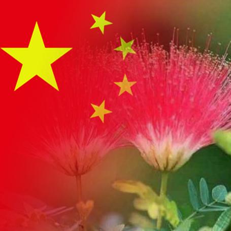 渴望幸福lsp❤️