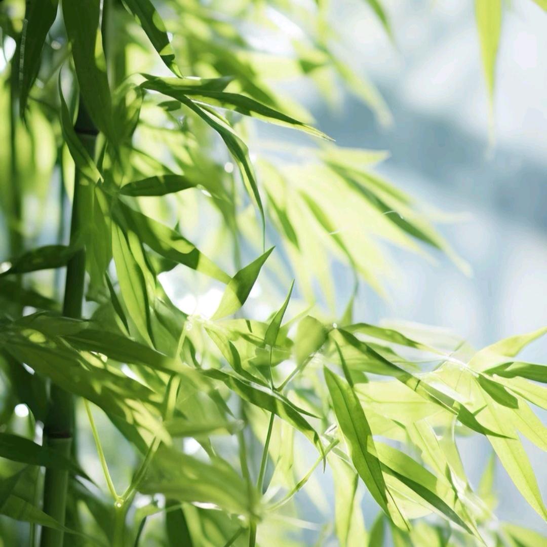 我愿望